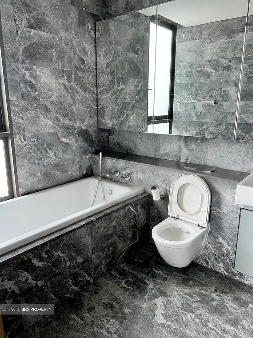 Skyline Residences (D4), Condominium #460272301